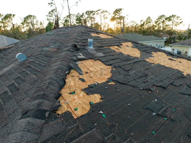 Best Roofing for New Construction  in Muhlenberg Rk, PA