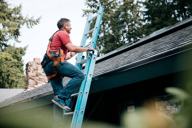 Best Skylight Installation and Repair  in Muhlenberg Rk, PA